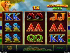 Max the Winner Multi Slots